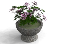 jardiniere gradina interior si exterior