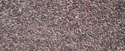 COLOR - MARRON PRUGNA